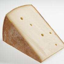 Appenzeller