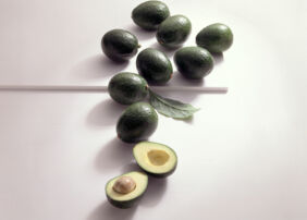 Avocado Sorten Reed Avocado Sorten Reed