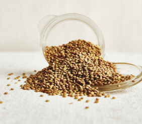 Natürlicher Appetitüegler Linsen Natürlicher Appetitüegler Linsen