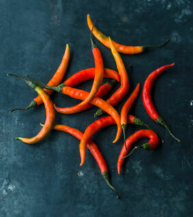 Fatburner Chili Fatburner Chili