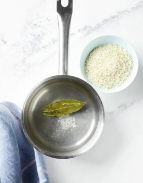 Honig-Entenbrust mit Mangokompott Honig-Entenbrust mit Mangokompott