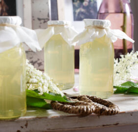 Holunderblütensirup Holunderblütensirup
