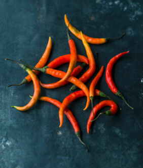 Chilis gegen Erkaeltung Chilis gegen Erkaeltung