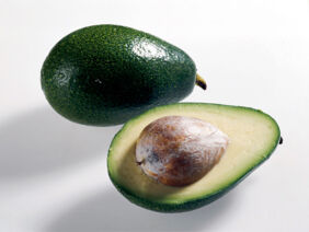 Avocado Sorten Bacon Avocado Sorten Bacon