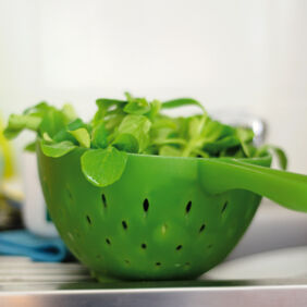 Feldsalat mit Speckwürfeln und Balsamico-Dressing Feldsalat mit Speckwürfeln und Balsamico-Dressing