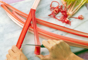 Rhabarber richtig schälen Schritt 2 Rhabarber richtig schälen Schritt 2