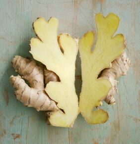 Fatburner Ingwer Fatburner Ingwer