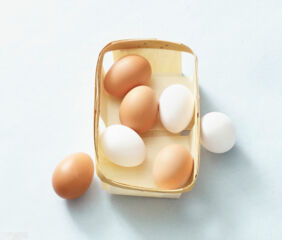 Eier Paleo Diät Eier Paleo Diät