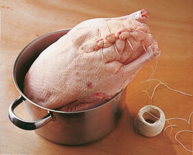 Gans richtig verschließen Gans richtig verschließen