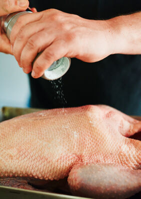 Gefüllte Gans für Festtage Gefüllte Gans für Festtage