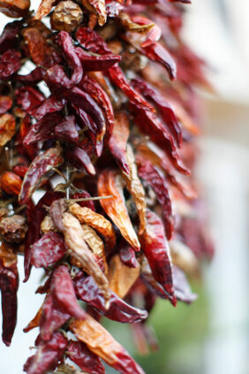 Getrocknete Chilis Getrocknete Chilis