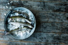 Fatburner Fisch Fatburner Fisch