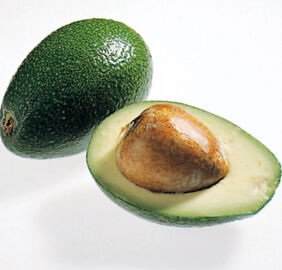 Avocado Sorten Ettinger Avocado Sorten Ettinger