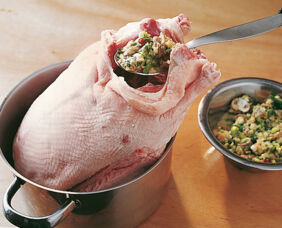 Gans richtig füllen Gans richtig füllen