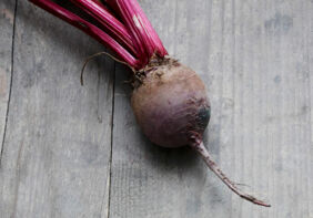 Detox Booster Rote Bete Detox Booster Rote Bete