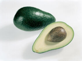 Avocado Sorten Fuerte Avocado Sorten Fuerte
