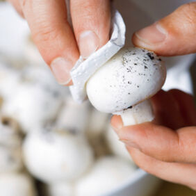 Champignons putzen - Zürcher Geschnetzeltes Zürcher Geschnetzeltes