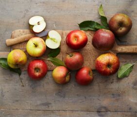 Appetitzügler Apfel Appetitzügler Apfel