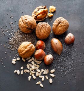 Nüsse und Samen Paleo Diät Nüsse und Samen Paleo Diät