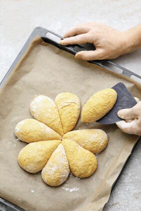 Rübli-Brötchenblume Rübli-Brötchenblume