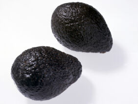 Avocado Sorten Hass Avocado Sorten Hass