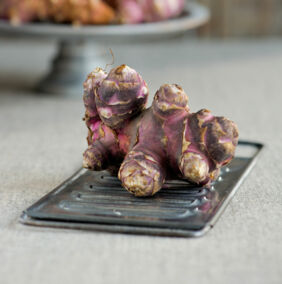 Appetitzügler Topinambur Appetitzügler Topinambur