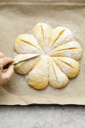 Rübli-Brötchenblume Rübli-Brötchenblume