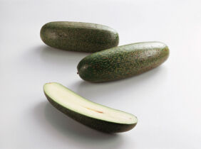 Avocado Sorten Mini Avocados Avocado Sorten Mini Avocados