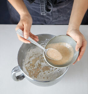 Brot backen Sauerteigbrot Hefe zu Mehlsorten Brot backen Sauerteigbrot Hefe zu Mehlsorten