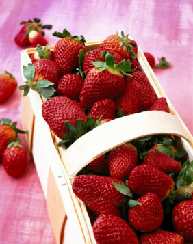 Korb mit frischen Erdbeeren Erdbeeren Unterseite Lagerung