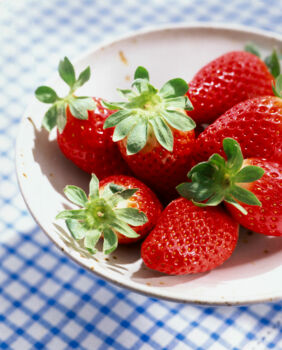 Erdbeeren in einer Schale Erdbeeren Unterseite Lagerung