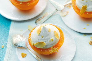 Eis-Mandarinen mit Lebkuchen-Parfait
