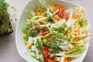 Bunter Salat mit Kressesauce