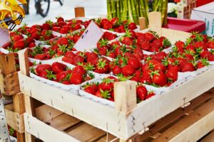 Erdbeeren Unterseite Lagerung