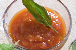 Tomaten-Aprikosen-Suppe