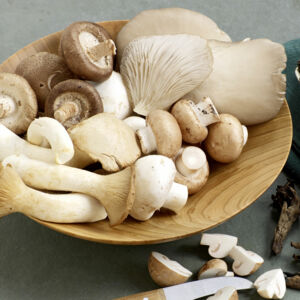 Pilze einfach und richtig zubereiten
