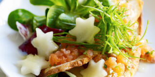 Lachsforellentatar Lachsforellentatar