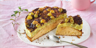 Stachelbeer-Kr&uuml;melkuchen