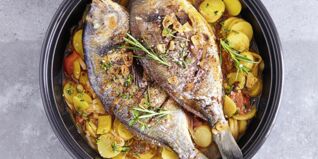 Doraden aus der Tajine