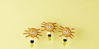 Knabberspinnen Knabberspinnen