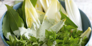 Chicorée-Giersch-Salat Chicorée-Giersch-Salat