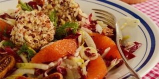 Bittersalat mit Cara Cara Orangen und Ziegenkäse Bittersalat mit Cara Cara Orangen und Ziegenkäse