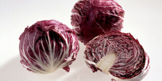 Radicchio Radicchio