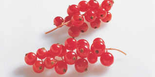 Johannisbeeren