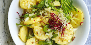 Grüner Kartoffelsalat mit Sprossen