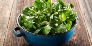 Lieblingsrezepte-im-Februar Lieblingsrezepte-im-Februar