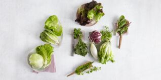 Verschiedene Blattsalate Verschiedene Blattsalate