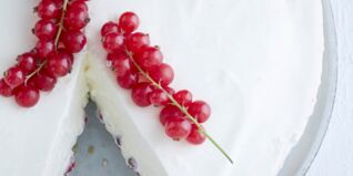 Panna-Cotta-Torte Panna-Cotta-Torte