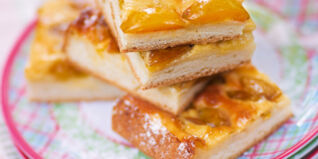 Sommerküche, Mirabellenkuchen mit Vanilleguss Zwetschgen Unterseite Rezepte Mirabellen