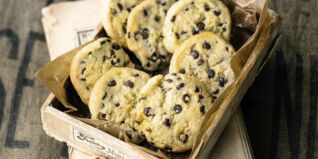 Schoko-Cookies Schoko-Cookies